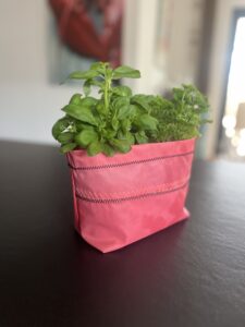 IMG_1851